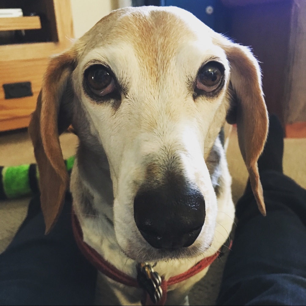 Meet your Posher, Cate